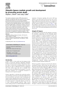 Ubiquitin-ligases-mediate-growth-and-development