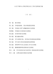 学校安全应急预案汇编