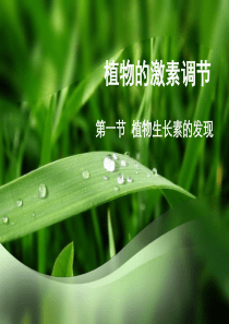 人教版教学课件高中生物人教版必修三第3章第1节：《植物生长素的发现》课件