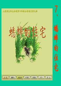 小学四年级上册语文第七课蟋蟀的住宅PPT课件2
