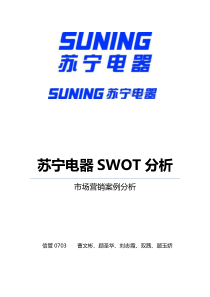 苏宁电器环境分析