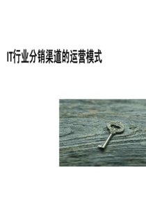 it行业分销渠道的运营模式45页PPT