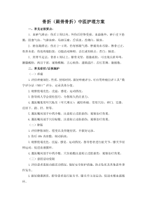 跟骨骨折中医护理方案