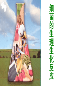 5.细菌的生理生化反应