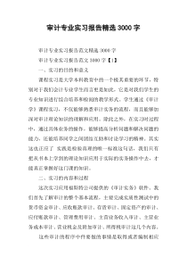 审计专业实习报告精选3000字