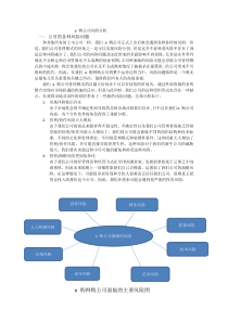 公司风险分析