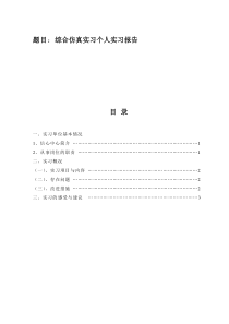 仿真实习报告