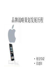 品牌策划发展战略范建阳