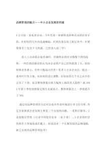 品牌管理的魅力－－中小企业发展的利器(doc 14)