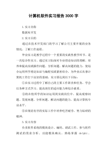 计算机软件实习报告3000字