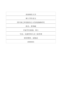 四川海之科技股份公司发展战略研究