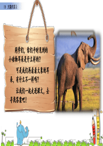 部编版大象的耳朵优质课件
