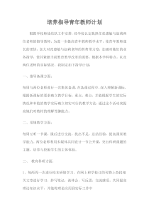 培养指导青年教师计划
