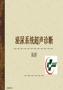 20081008泌尿系统超声检查