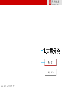 国内大盘发展研究(世联)