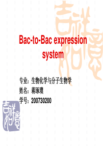 bac-to-bac-expression-system