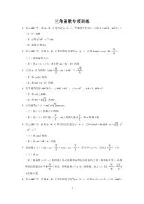三角函数大题专项(含答案)