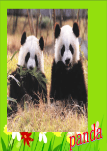 北师大版模块8-Unit-22-Lesson-2-Endangered-Species课件