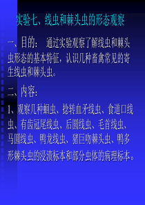 实验七、线虫形态观察(综合)