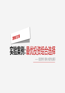 最优投资组合选择
