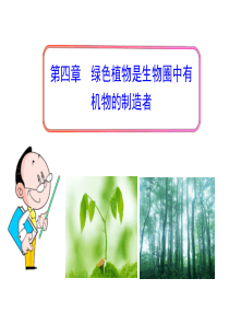 2013年秋 七年级生物上册第四章 绿色植物是生物圈中有机物的制造者