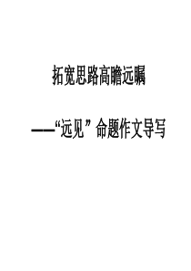“远见”作文