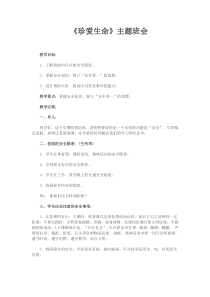 《珍爱生命》主题班会教案
