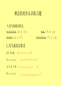 二上乘法的初步认识练习题