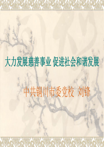 大力发展慈善事业