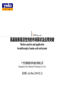 研讨会PPT-氨基酸表面活性剂毛华丽翻译版