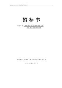 项目商业运营顾问招标书