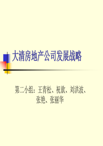 大清房地产公司发展战略OUR