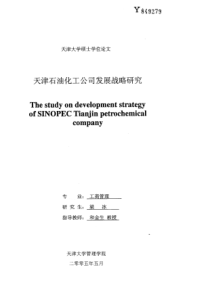 天津石油化工公司发展战略研究