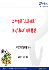 安徽电信公司城域网发展汇报