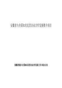安徽省与全国知名民营企业合作发展项目推介表