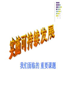 实施可持续发展