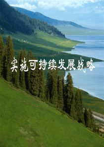 实施可持续发展战略ppt-PowerPointPres