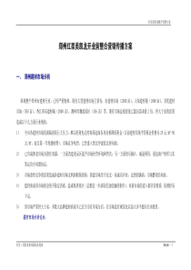 红星美凯龙开业-整合营销传播方案