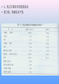 土壤生态学课件-第五章-农田生态系统中能流传递特点2