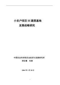小农户项目XX蔬菜基地发展战略研究(1)