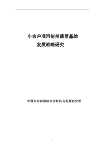小农户项目彭州蔬菜基地发展战略研究(1)