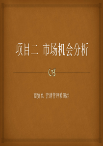 项目二-市场机会分析