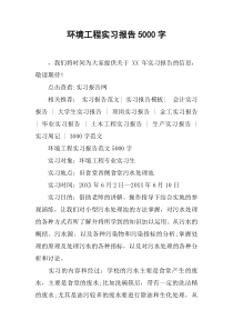 环境工程实习报告5000字
