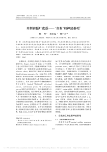 内侧前额叶皮质