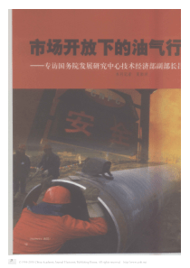 市场开放下的油气行业监管_专访国务院发展研究中心技术经济部副部长