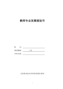 师范教育系教师专业发展规划书