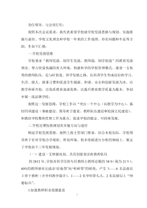 希望小学发展思路