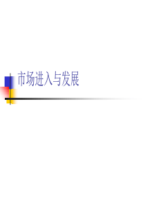 市场进入与发展