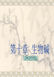 第十章-生物碱