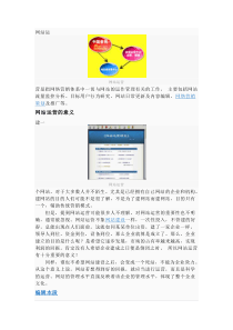 网站运营方案